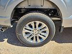 2025 Ford F-150 SuperCrew Cab 4x4 Pickup for sale #SKE68131 - photo 14