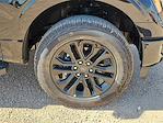 2025 Ford F-150 SuperCrew Cab 4x4 Pickup for sale #SKE87598 - photo 14