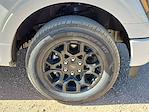 2025 Ford F-150 SuperCrew Cab RWD Pickup for sale #SKF06042 - photo 14