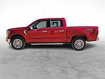 2025 Ford F-150 SuperCrew Cab 4WD Pickup for sale #SKF06385 - photo 7