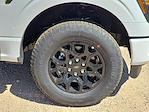 2025 Ford F-150 SuperCrew Cab 4WD Pickup for sale #SKF11824 - photo 14