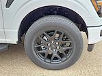 New 2025 Ford F-150 STX SuperCrew Cab for sale #SKF16018 - photo 14