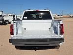 2025 Ford F-150 SuperCrew Cab RWD Pickup for sale #SKF74474 - photo 14