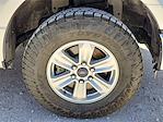 2016 Ford F-150 SuperCrew Cab 4x4 Pickup for sale #TA88489 - photo 14