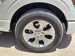2023 Ford F-150 SuperCrew Cab 4x4 Pickup for sale #TB95476A - photo 14