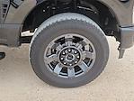 2024 Ford F-350 Crew Cab SRW 4x4 Pickup for sale #TC01676 - photo 14