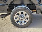 2024 Ford F-250 Crew Cab 4WD Pickup for sale #TC34325 - photo 14