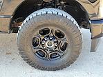 2024 Ford F-250 Crew Cab 4WD Pickup for sale #TC73720 - photo 14