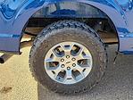 2023 Ford F-150 SuperCrew Cab RWD Pickup for sale #TD76456 - photo 14