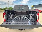 2019 Ford F-250 Crew Cab 4x4 Pickup for sale #TE11589 - photo 15