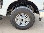 2026 Ford F-250 Regular Cab 4x4 Pickup for sale #TEC31526 - photo 14