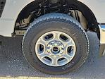 New 2026 Ford F-250 XLT Crew Cab for sale #TED18702 - photo 14
