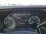 New 2026 Ford F-250 XLT Crew Cab for sale #TED18702 - photo 23