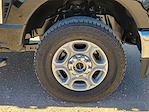 New 2026 Ford F-350 XLT Crew Cab for sale #TED38959 - photo 14