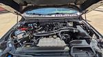 2024 Ford F-150 SuperCrew Cab 4WD Pickup for sale #PB31209 - photo 31