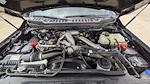 2024 Ford F-250 Crew Cab 4WD Pickup for sale #PD07327 - photo 32