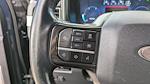 2024 Ford F-250 Crew Cab 4WD Pickup for sale #PD06838 - photo 16