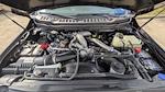 2024 Ford F-250 Crew Cab 4WD Pickup for sale #PD06838 - photo 31