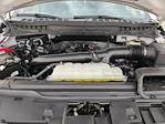 2024 Ford F-150 SuperCrew Cab 4WD Pickup for sale #PFA00836 - photo 30