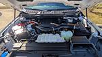 2023 Ford F-150 SuperCrew Cab 4WD Pickup for sale #PFA28002 - photo 32