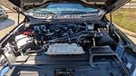 2023 Ford F-150 SuperCrew Cab 4WD Pickup for sale #PFA40788 - photo 32