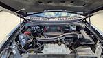 2023 Ford F-150 SuperCrew Cab 4WD Pickup for sale #PFA55842 - photo 32