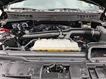2024 Ford F-150 SuperCrew Cab 4WD Pickup for sale #PFA83228 - photo 34