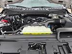 2025 Ford F-150 SuperCrew Cab RWD Pickup for sale #PFA98563 - photo 31