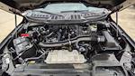 2024 Ford F-150 SuperCrew Cab 4WD Pickup for sale #PB31426 - photo 32