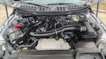 2024 Ford F-150 SuperCrew Cab 4WD Pickup for sale #PB37095 - photo 31