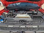 2021 Ford F-150 SuperCrew Cab 4WD Pickup for sale #PFB70507 - photo 32