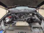2023 Ford F-150 SuperCrew Cab 4WD Pickup for sale #PFC15056 - photo 32