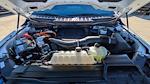 2023 Ford F-150 SuperCrew Cab 4WD Pickup for sale #PFC50274 - photo 31