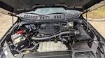 2023 Ford F-150 SuperCrew Cab 4WD Pickup for sale #PC66176 - photo 32