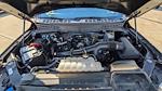 2023 Ford F-150 SuperCrew Cab 4WD Pickup for sale #PFC77556 - photo 31