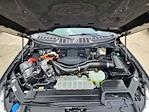 2023 Ford F-150 SuperCrew Cab 4WD Pickup for sale #PFC80159W - photo 31