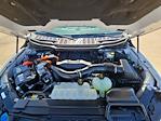 2023 Ford F-150 SuperCrew Cab 4WD Pickup for sale #PFC93350W - photo 31