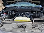 2025 Ford F-150 SuperCrew Cab 4WD Pickup for sale #PKD44779 - photo 25