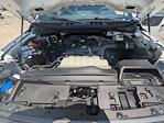 2025 Ford F-150 SuperCrew Cab RWD Pickup for sale #PKE02527 - photo 26