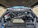 2023 Ford F-150 SuperCrew Cab RWD Pickup for sale #PKE25987T - photo 32