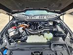 2024 Ford F-150 SuperCrew Cab 4WD Pickup for sale #RFA48972W - photo 32