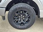 2024 Ford F-150 SuperCrew Cab 4WD Pickup for sale #RFA49343W - photo 10