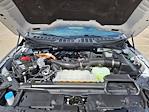 2024 Ford F-150 SuperCrew Cab 4WD Pickup for sale #RFA49343W - photo 32