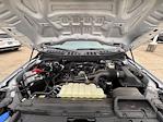 2025 Ford F-150 SuperCrew Cab RWD Pickup for sale #RFC05944 - photo 16