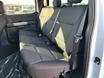 2025 Ford F-150 SuperCrew Cab 4WD Pickup for sale #SFA20406 - photo 16