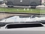 2025 Ford F-150 SuperCrew Cab 4WD Pickup for sale #SFB07775 - photo 23