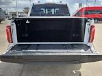 2025 Ford F-150 SuperCrew Cab 4WD Pickup for sale #SFB54066P - photo 28