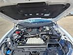 2025 Ford F-150 SuperCrew Cab 4WD Pickup for sale #SFB54066P - photo 32