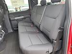 2025 Ford F-150 SuperCrew Cab 4WD Pickup for sale #SKD47999 - photo 16