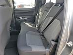 New 2025 Ford Ranger XLT SuperCrew Cab Pickup for sale #SLE13395 - photo 15